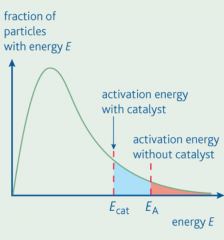Describe the effect of the addition of a catalyst?