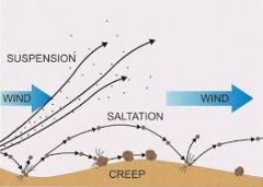 The rolling and sliding of larger soil particles along the ground surface.
The movement of these particles is aided by the bouncing impacts of the saltating particles.