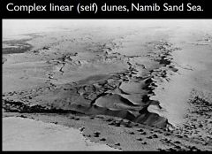 Form in areas with a limited sand supply and converging wind directions.
Example: Namib Sand Sea
