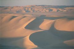 Area of large accumulation of sand.
Generally in the bottom of a huge basin.
Area of actively shifting sand dunes. 