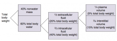 - 1/3 extracellular fluid (20% total body weight)
- 2/3 intracellular fluid (40% total body weight)