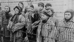 Jewish Genocide in the     dictatorship of Hitler.