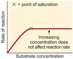 With increasing concentration of substrate molecules, the rate of reaction increases until the active sites on all the enzyme molecules are filled, at which point the maximum rate of reaction is reached.