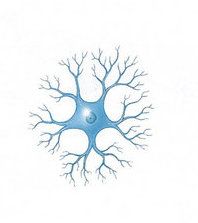 Name this type of
neuron.