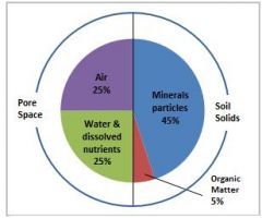 45% mineral


5% OM


25% air


25% H2O