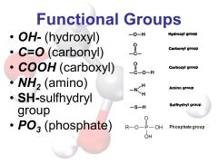 Carbonyl          C=O
+ Hydroxyl       OH-
