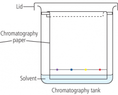 A way of separating and purifying coloured compounds using filter paper and a solvent.


Ink is put on paper, which is dipped in solvent, the solvent moves up the paper gradually, separating the dyes making up the inks due to their differing solub...