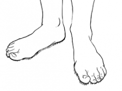les pieds