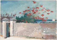 Winslow Homer’s A Wall, Nassau was made using
