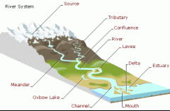 A flowing network of rivers and streams draining a river basin.