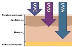 What is the mechanism of photocarcinogenesis mediated by UVA vs. UVB?