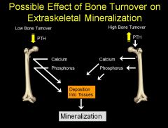 Actually, in both low bone turnover and high bone turnover, you get high extraskeletal mineralization.
In high bone turnover, there is release of Ca++ from bone, which gets deposited into extraskeletal locations.
In low turnover, the bone can’t buffer t