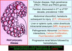 Adult polycystic kidney disease.
