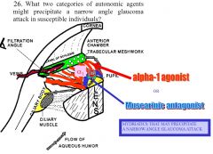Alpha1 agonists or anti-muscarinics