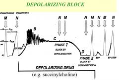 Succinylcholine is a depolarizing blocker.