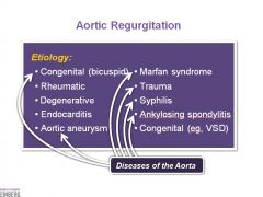 Anything that can make the aorta enlarge can pull apart the valve leaflets and cause aortic regurgitation.
