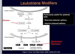 •	Leukotriene modifiers are asthma controllers. Some include:
•	Zileuton (5-LO inhibitor)
•	Montelukast (CysLTR1 inhibitor)
•	Zafirlukast (CysLTR1 inhibitor)