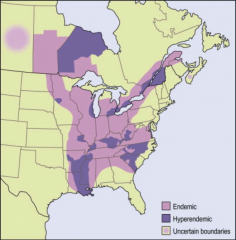 1. What mycosis is found in this geography?
2. What is the pathogenesis of this mycosis?
3. What do people new to the area get? What do people who live in the area get? What to immunocompromised people get?
4. Describe the progression of symptoms in Im