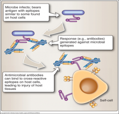 Occurs when microbial antigenic determinants cross-react with host self antigens.