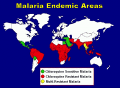 -Central America (west of Panama Canal)

-Haiti & Dominican Republic

-Middle East
*Chloroquine resistant EVERYWHERE ELSE. Huge issue.

*MULTI-RESISTANT MALARIA IN SOME PLACES