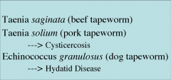 -GI tapeworm infection 
-of these 3, the pork tapeworm can cause human tissue invasion --> cysticercosis
-From the dog tapeworm, humans can't get a GI tapeworm; we can only get tissue invasion.