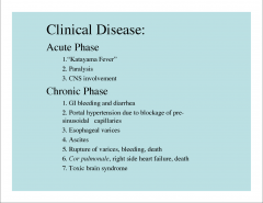 *Chronic phase is most important.
-esophageal varices leads to coughing up blood.