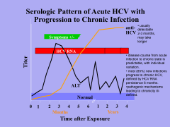 -disease course from acute  infection to chronic state is predictable, with individual variation. 
 
-most (85%) new infections progress to chronic HCV, defined by HCV RNA persistence 6 months. 

-pathogenic mechanisms leading to chronicity ill-define