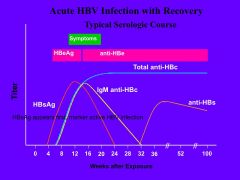 *IgM indicates acute
*If you fight it off, you'll retain anti-HBs and anti-HBc