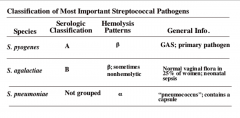 *pyogenes is most important (Group A strep)
*agalactiae is the Group B strep; normal vaginal flora that can infect infants during delivery.
*Pneumoniae doesn't get grouped because it is an alpha hemolytic, not a ß-hemolytic; causes pneumonia.