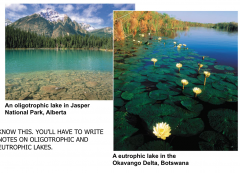 Oligotrophic lakes are nutrient-poor and generally oxygen-richWhat are eutrophic lakes? Eutrophic lakes are nutrient-rich and often depleted of oxygen in deep zones or throughout if ice covered in winter


      Oligotrophic lakes have less surfac...