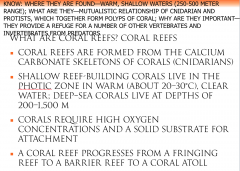 coral reef in Red Sea


What animals and plants are found in cora reefs? Corals form a mutualistic relationship with unicellular algae, which provide them with organic moleculesIn addition to corals, other invertebrates and fish are also exception...