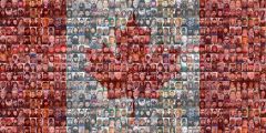 •A society that is made up of many distinct cultural groups. 


Example: Canada is a cultural mosaic: our country is made up of pieces of many cultures.


Significance: This is a radically Canadian policy in contrast with American melting pot po...