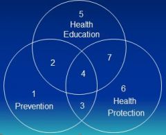 3 intersecting circles of health education, prevention and health protection giving 7 possible dimensions of health promotion: