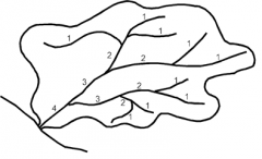 Décrire la différence entre l'alimentation les affluents (1), les ruisseaux (2, 3), et l'aval (trois remarques).