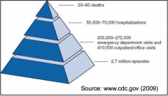 Rotavirus Surveillance/year
Asia, Africa & LatinAmerica
- 140 million cases, >870,000 deaths (severe dehydration & electrolyte loss)