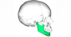 








lower jaw bone