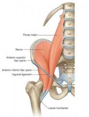 -from pubic bone to ant sup iliac spine
-landmark for separation of pelvis to thigh