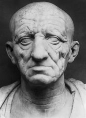 Formal Analysis: Head of a Roman patrician, Republican Roman, 75-50 BCE, marble, #42
 
Content:
-bust to honor deceased family
-wealthy or successful person
-old man
-detail in wrinkles of skin
-very common in ancient Rome
 
Style:
-very realistic...