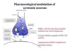 *Fluoxetine= highly selective for seratonin