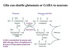 **how does alpha-keto relate to GABA?
GABA is the major inhibitory neurotransmitter in the CNS. Approx.25-40% of all nerve terminals contain this transmitter. GABAergic neurons contain glutamic acid decarboxylase (GAD) which converts glutamate to...