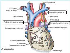 Pericardiacophrenic artery stems from internal thoracic artery