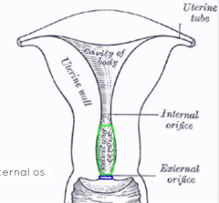 internal and external os