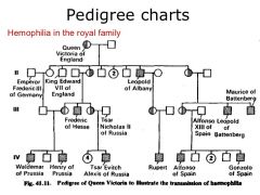 Definition: An ancestral line; a genealogical table that depicts the ancestral line
Synonym: Lineage, ancestry
Antonyms: End, outgrowth