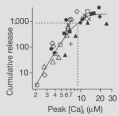 Highly exponential relationship between presynaptic cell calcium concentration and neurotransmitter release - much more release with small increases in Ca.
Slope is 4 or 5 - 4-5 Ca2+ ions must be cooperating to initiate release.