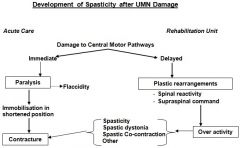 Spasticity is unrelated to the sympathetic system and usually occurs after the acute phase (SCI), when spinal shock has resolved. Hypotension (supine and orthostatic), cardiac arrythmias, autonomic dysreflexia (AD) = loss of supraspinal control of...