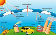 Types of Gas that hurts the Ozone Layer