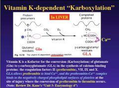 Vitamin K is crucial for blood clotting. It is a cofactor for the conversion of glutamate residue to carboxyglutamate residue in the synthesis of calcium binding proteins including coagulation factors: II (prothrombin), VII, IX, and X. Factor II (prothrom