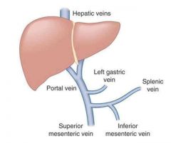 junction of the splenic and portal veins that occurs in the midabdomen and serves as a posterior border of the pancreas