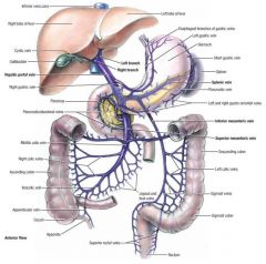 drains the small bowel and cecum, transverse and sigmoid colon; travels vertically to join the splenic and portal veins; serves as a posterior landmark to the body of the pancreas and an anterior border to the uncinate process of the head
