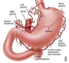 one of the three vessels that arise from the celiac axis to supply the spleen, pancreas, stomach, and greater omentum